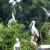 Hoa Lu – Thung Nham Private 1 Day Tour