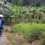 Trang An – Cuc Phuong National Park Private 1 Day Tour