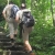 Bai Dinh Pagoda – Trang An – Mua Cave – Cuc Phuong National Park 2 Days 1 Night