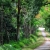 Trang An – Cuc Phuong National Park Private 1 Day Tour