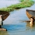 Van Long – Cuc Phuong National Park Private  1 Day Tour